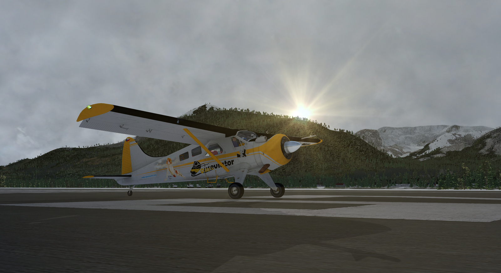 DHC-2 Beaver, Mouseviator,Normal version, Screenshot 1/19