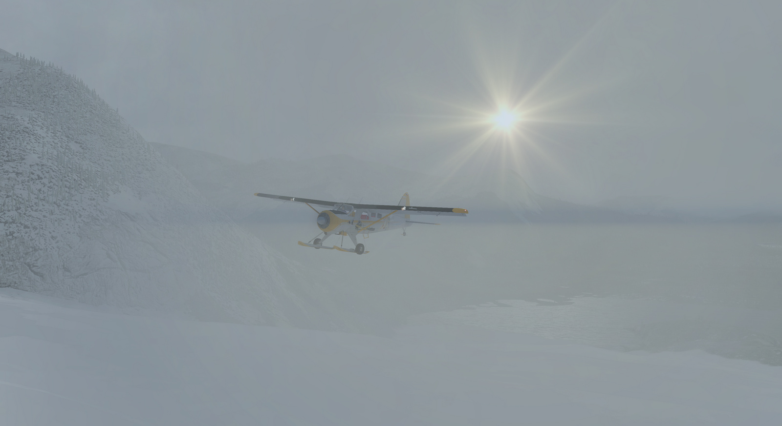 DHC-2 Beaver, Mouseviator,Skis version, Screenshot 16/19